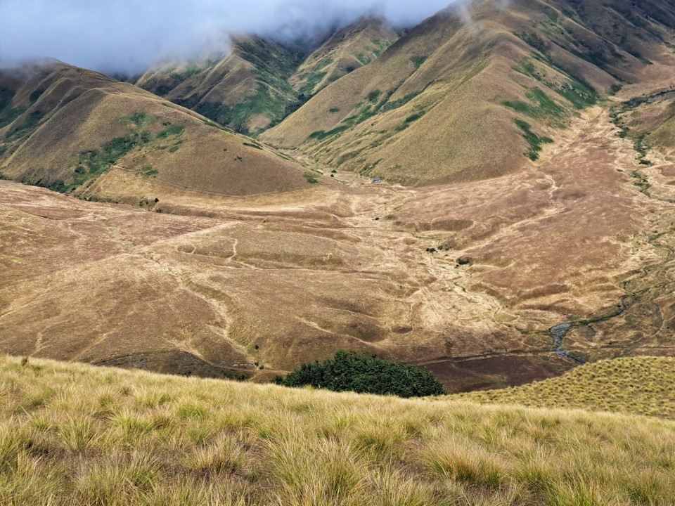 Neuseeland - Macetown - 