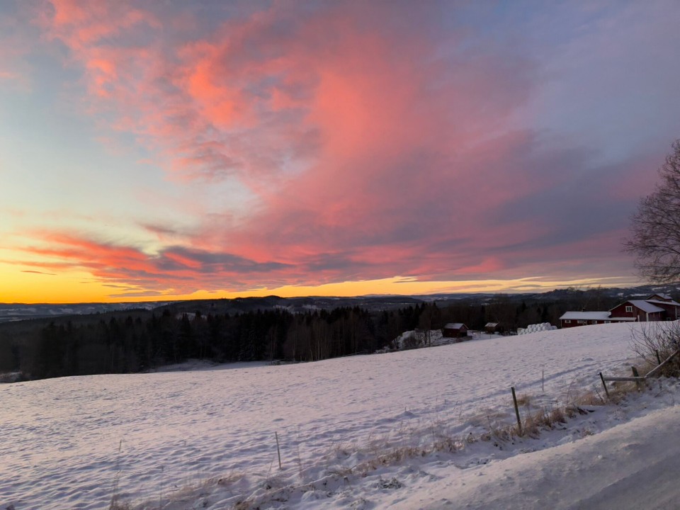Norwegen - Oslo - Nachmittagsstimmung