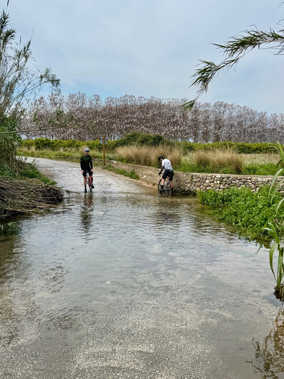 Spanien - Pedreguer - 