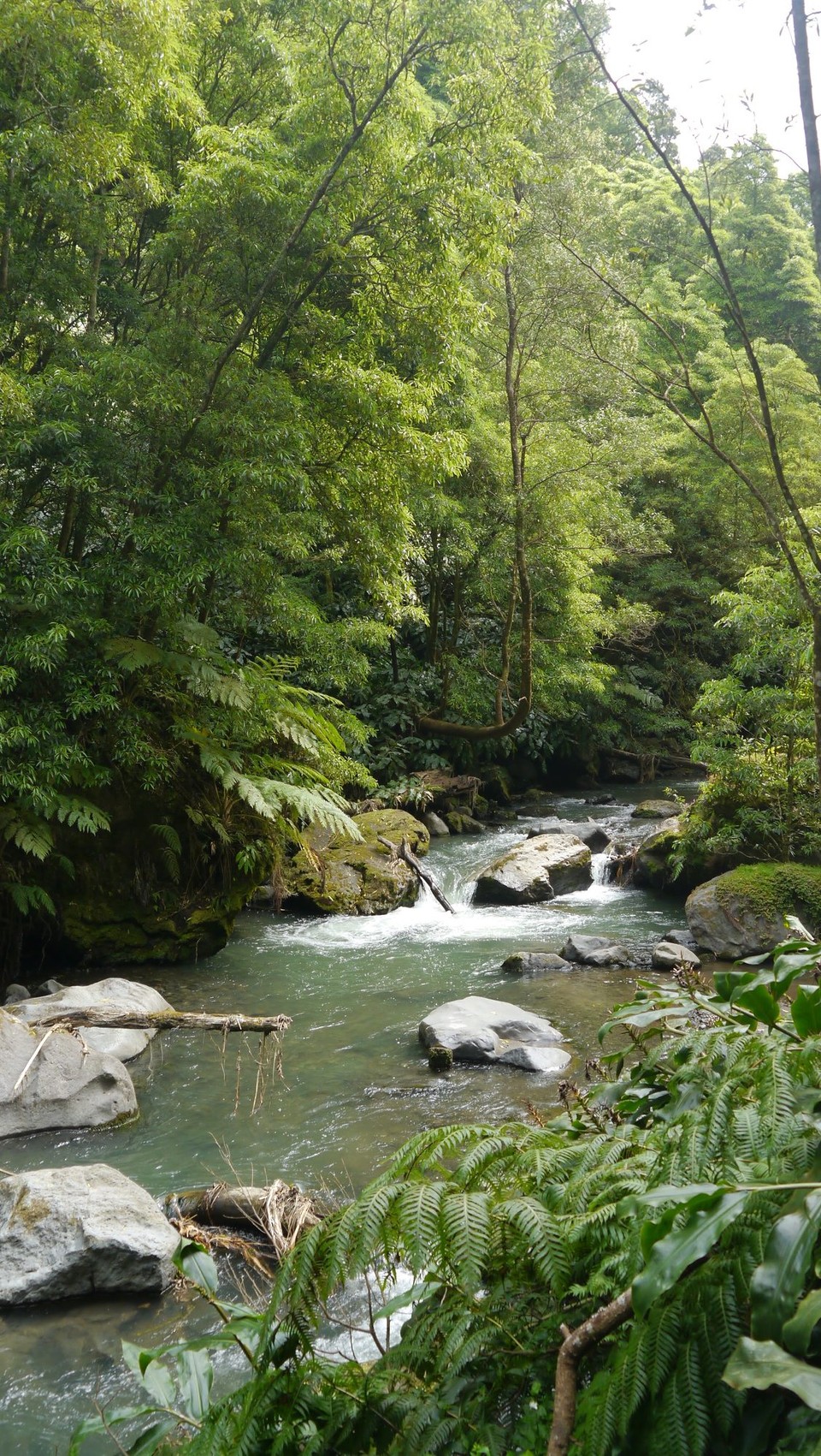 Portugal - Ribeira Grande - 
