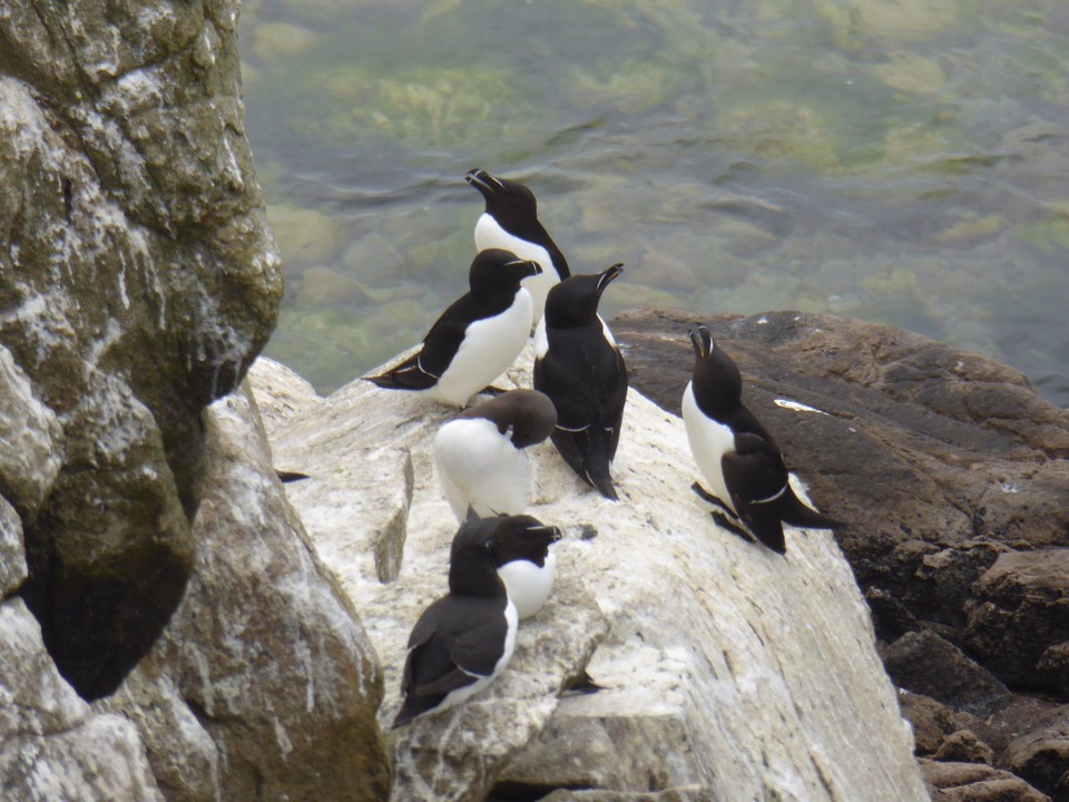 Ireland - Kilmore Quay - 