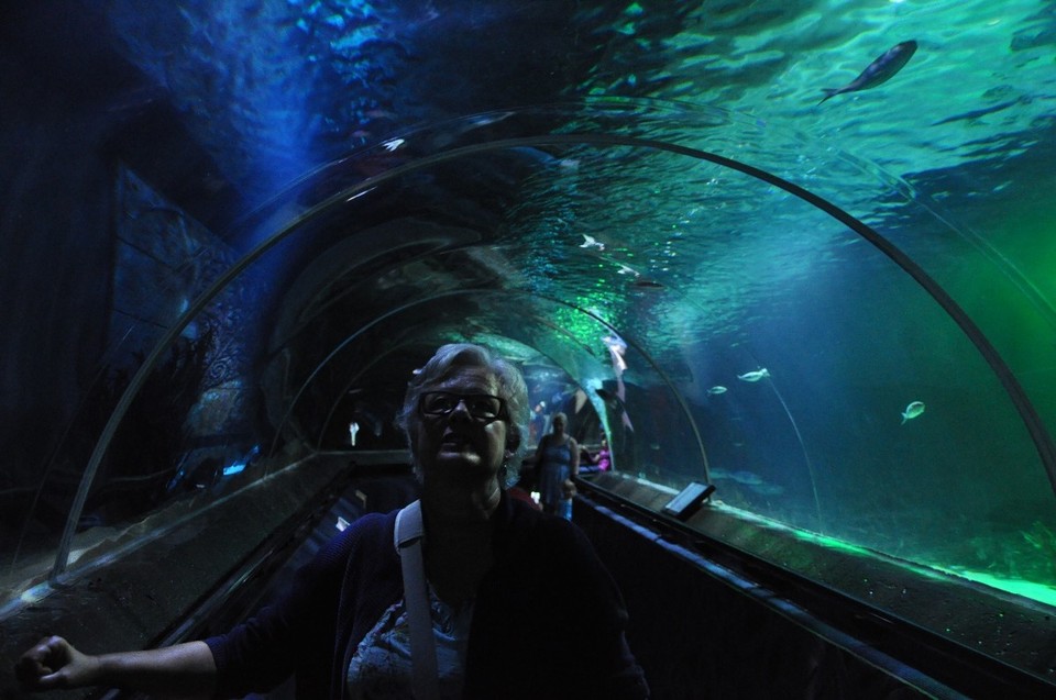 Neuseeland - Auckland - 