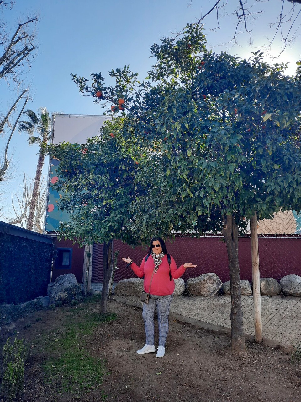 Spain - Barcelona - Kur apelsini?