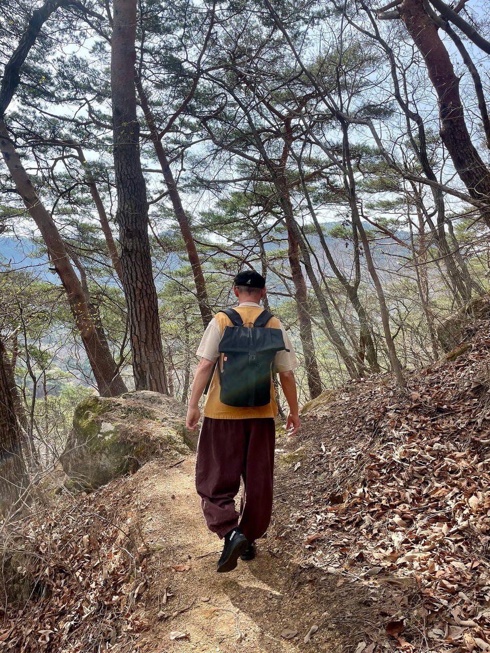 대한민국 -  - 