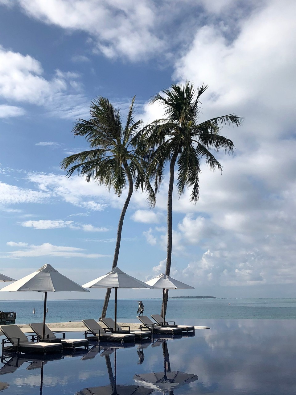 Maldives - Rangali - 