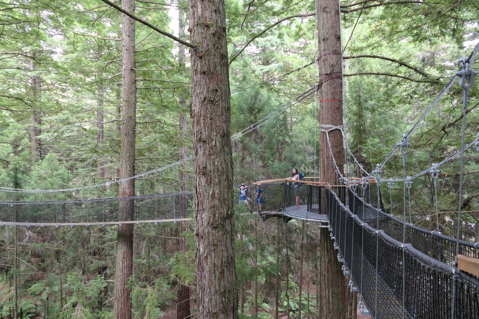 Neuseeland - Whakarewarewa - 