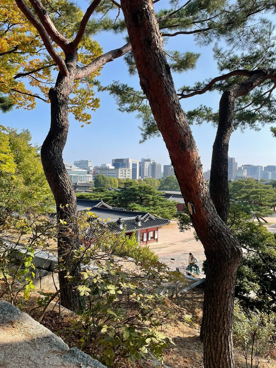 대한민국 - 서울특별시 - 
