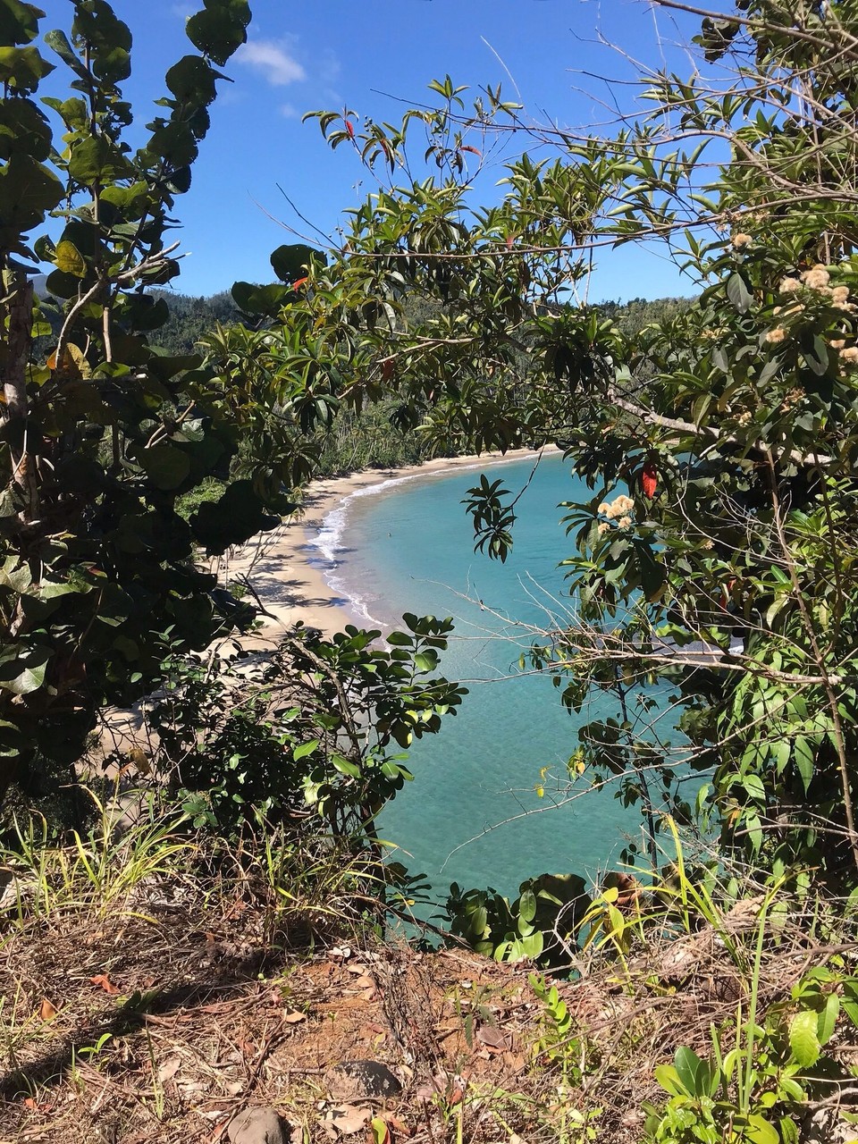 Dominica -  - 