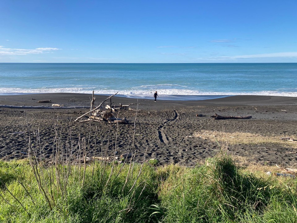 Neuseeland - Napier - Kleiner Strandspaziergang - Whirinaki
