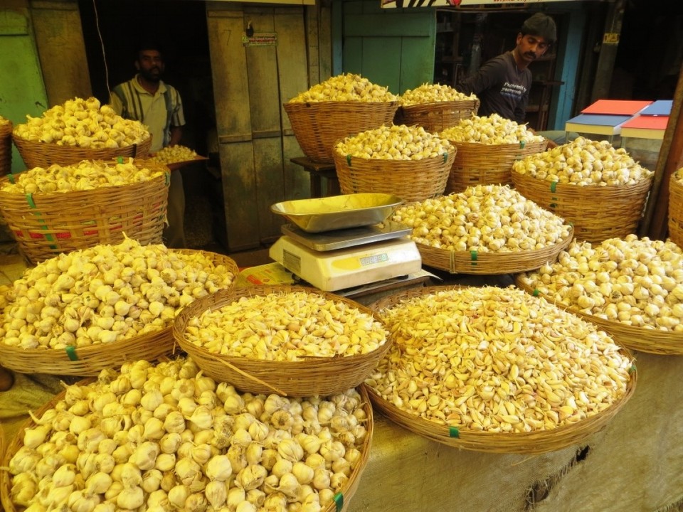 Indien - Udagamandalam I Ooty - 