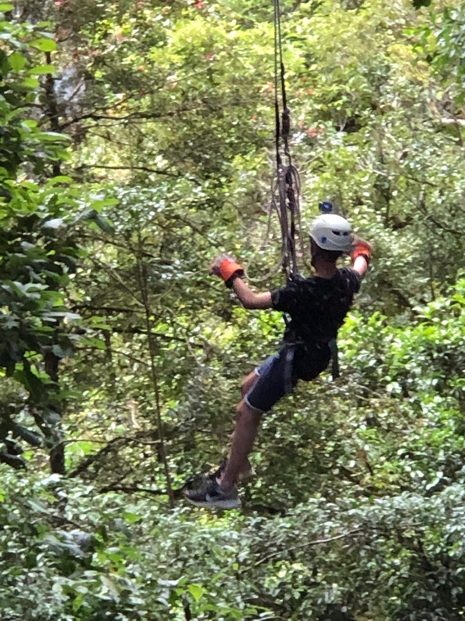 Costa Rica -  - Am nächsten Tag gingen wir nach Monte Verde, Santa Elena. Meine Schwester und ich wollten nochmals Ziplinen. Diesmal war es mit speziellen Sachen. Es war viel cooler. Abseilen von mehr als 15m Höhe, Tarzanswing (Sprung an einem langen Seil) und die Strickleiter waren das coolste.