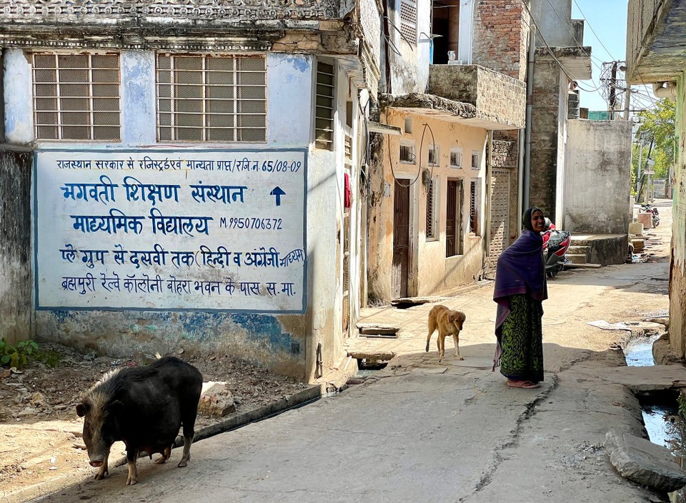 Indien - Ranthambore - 