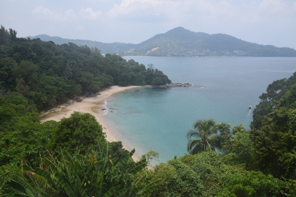 Thailand -  - Nach einen vergeblichen Abstieg durch den Bewachsenen Hügel und nachdem ich fast von einer Ameisenkolonie zum Mittag verspeist worden wäre mussten wir aufgeben. 