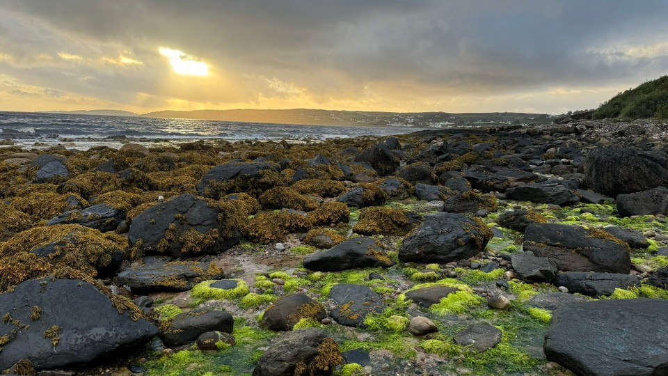 Royaume-Uni - Gairloch - 