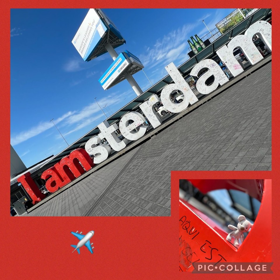 Niederlande - Flughafen Amsterdam Schiphol - 