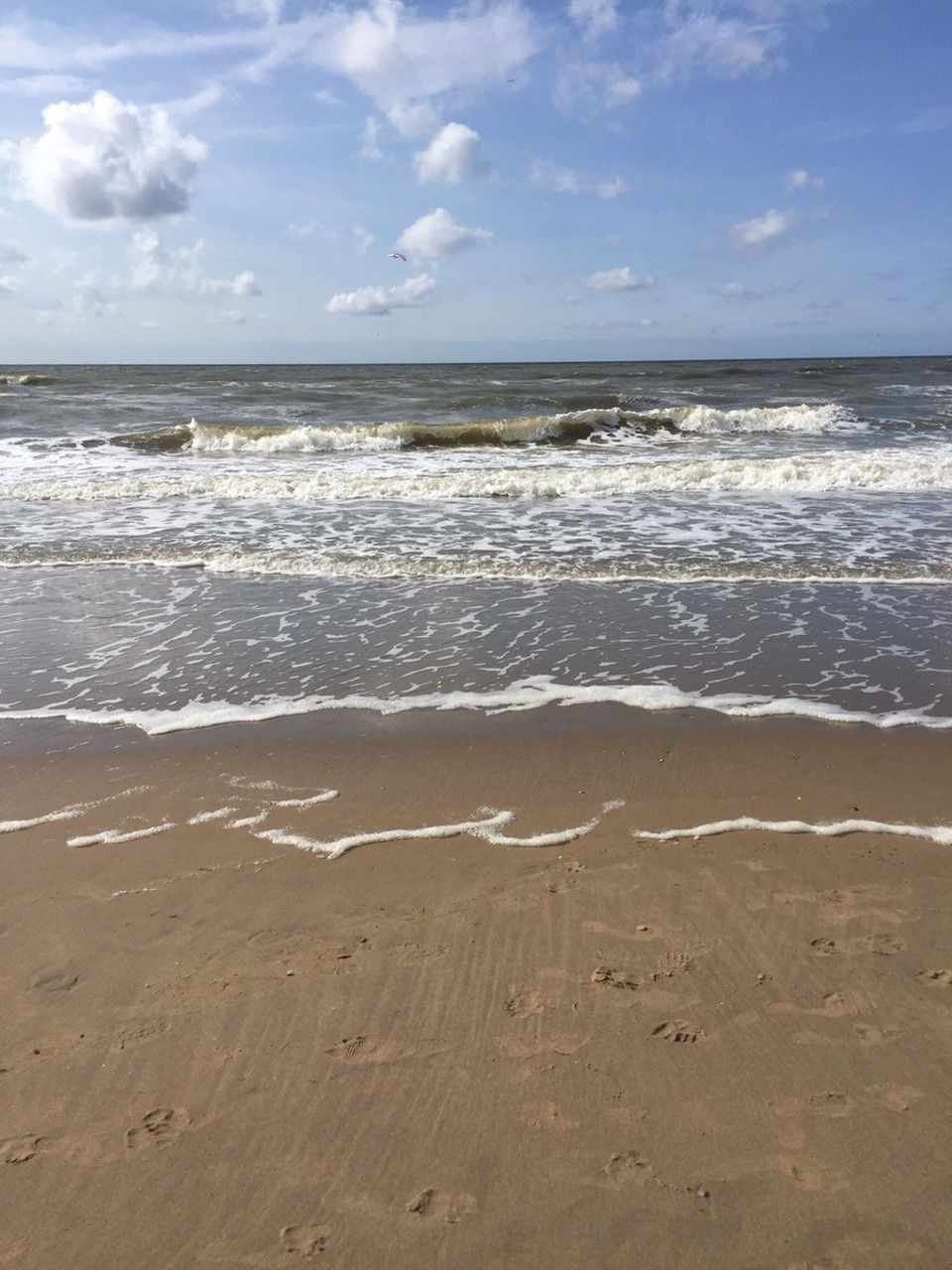 - Niederlande,  Kadwijk aan Zee - 