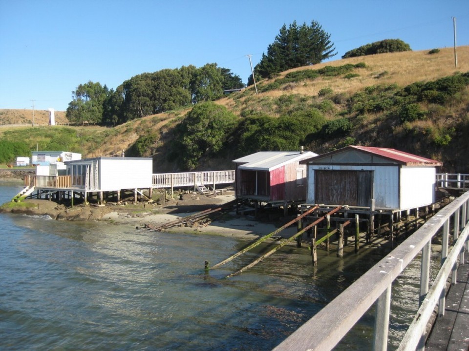 Neuseeland - Dunedin - 