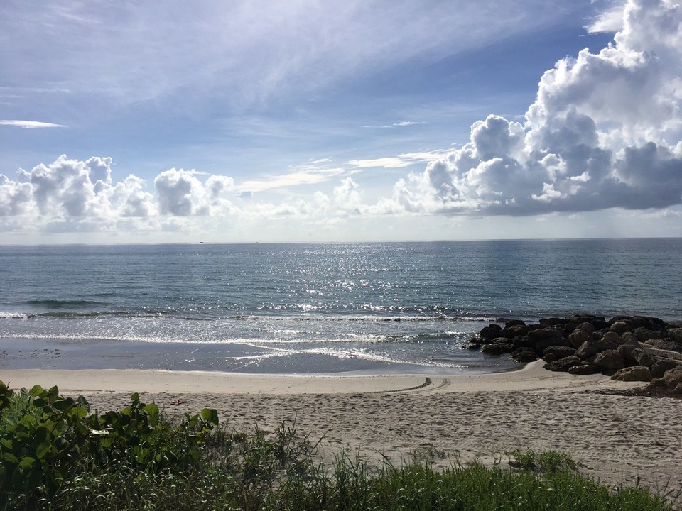 Vereinigte Staaten - Palm Beach - 