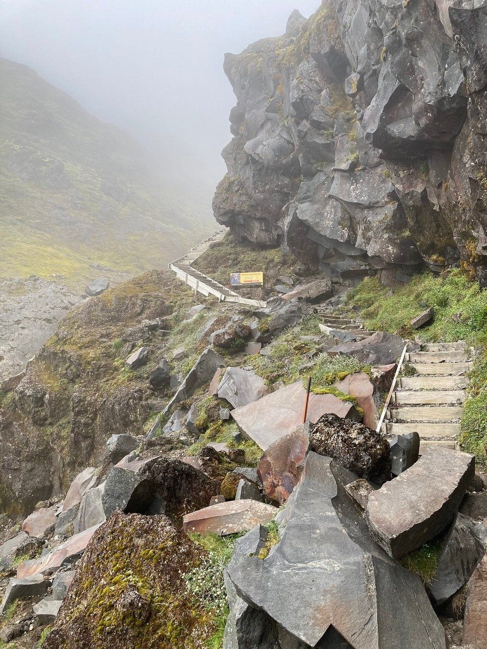 Neuseeland - Egmont National Park - 