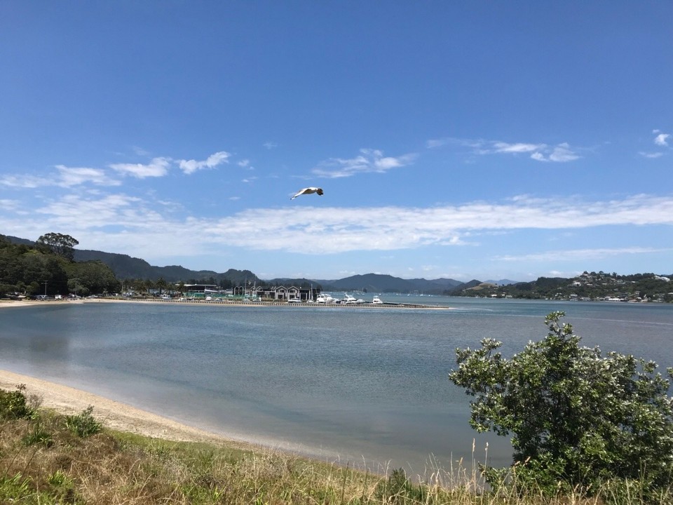 Neuseeland - Tairua - Blick von unserem Standplatz 