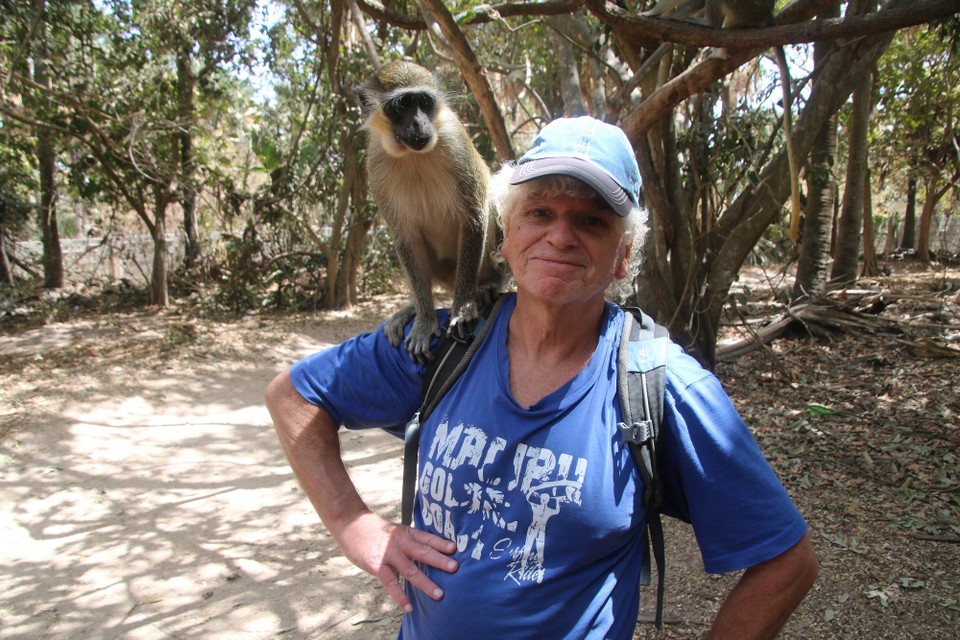 Gambia - Sukuta - Monkey Forest