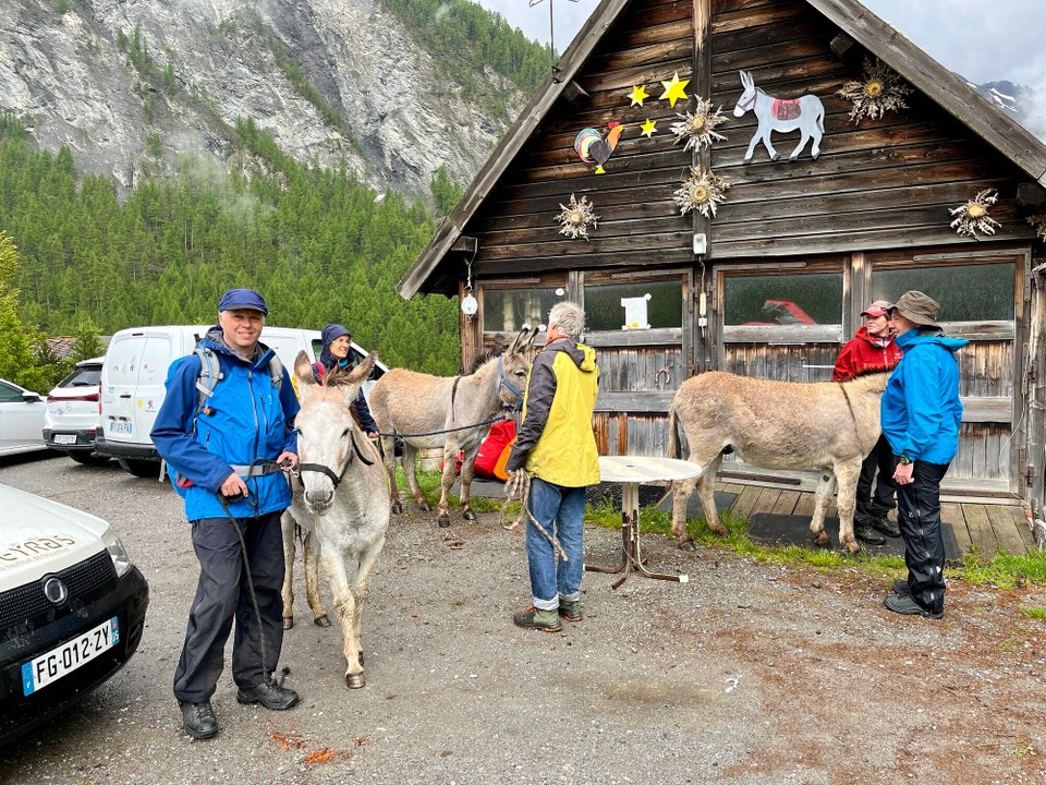 Frankreich - Saint-Véran - Unsere Wanderbegleiter von links nach rechts Clementine umgangssprachlich einfach Madame, Charlie & Titou 