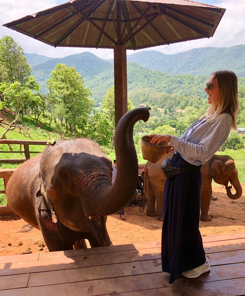 Thailand - Chiang Mai - Ja, die Fantis wissen ganz genau wo das Essen zu finden ist. Der Rüssel folgte mit stets 🐘