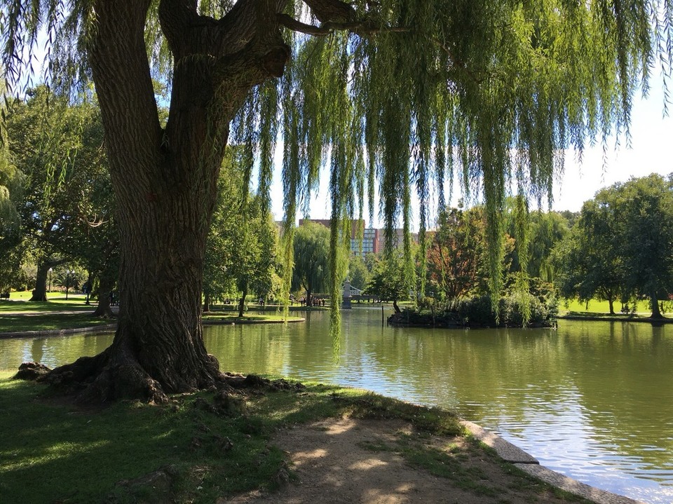  - Vereinigte Staaten, Boston - 