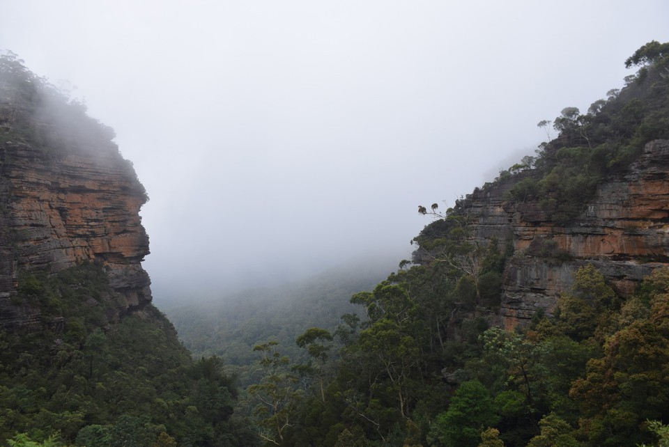 Australien - Wentworth Falls - 