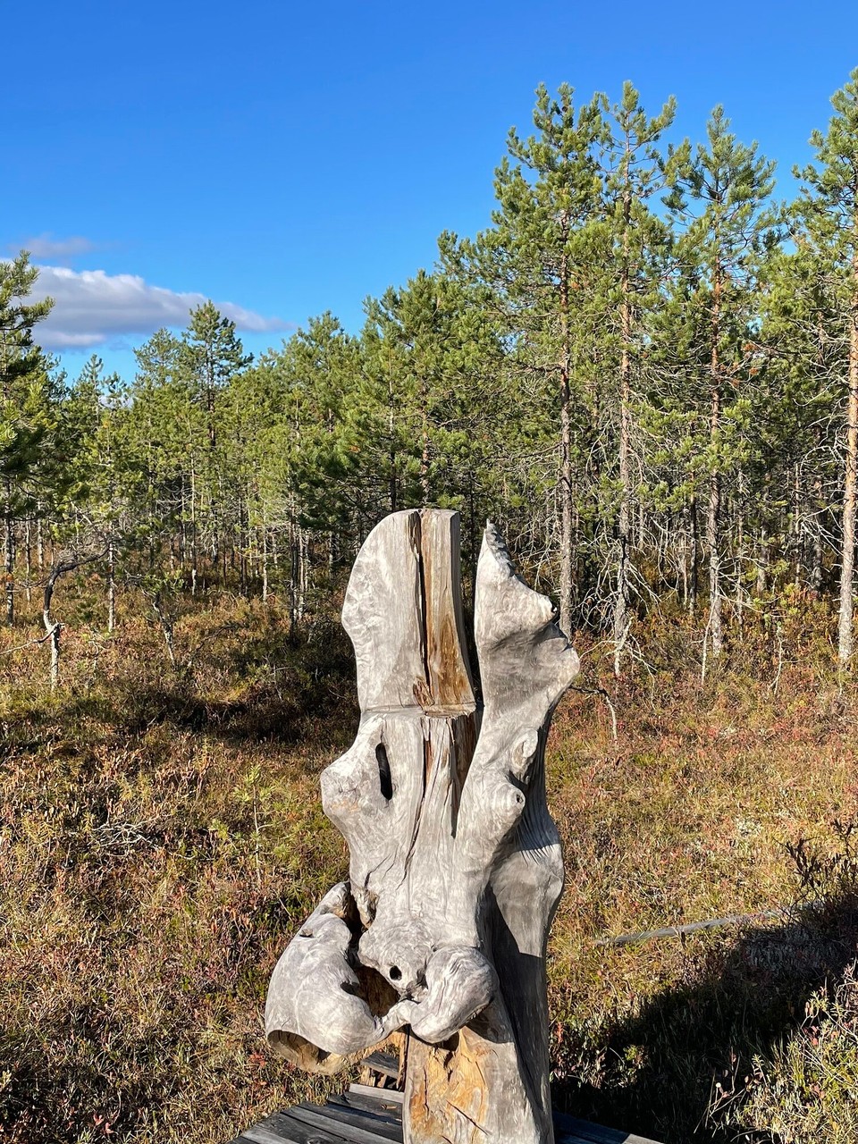 Finnland - Lievestuore - 