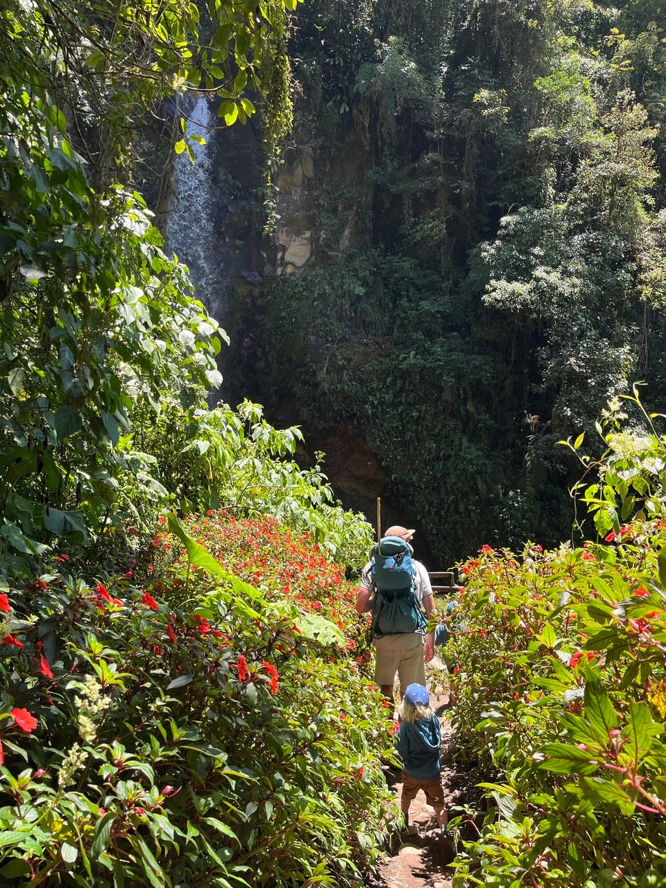 Panama - Boquete - 