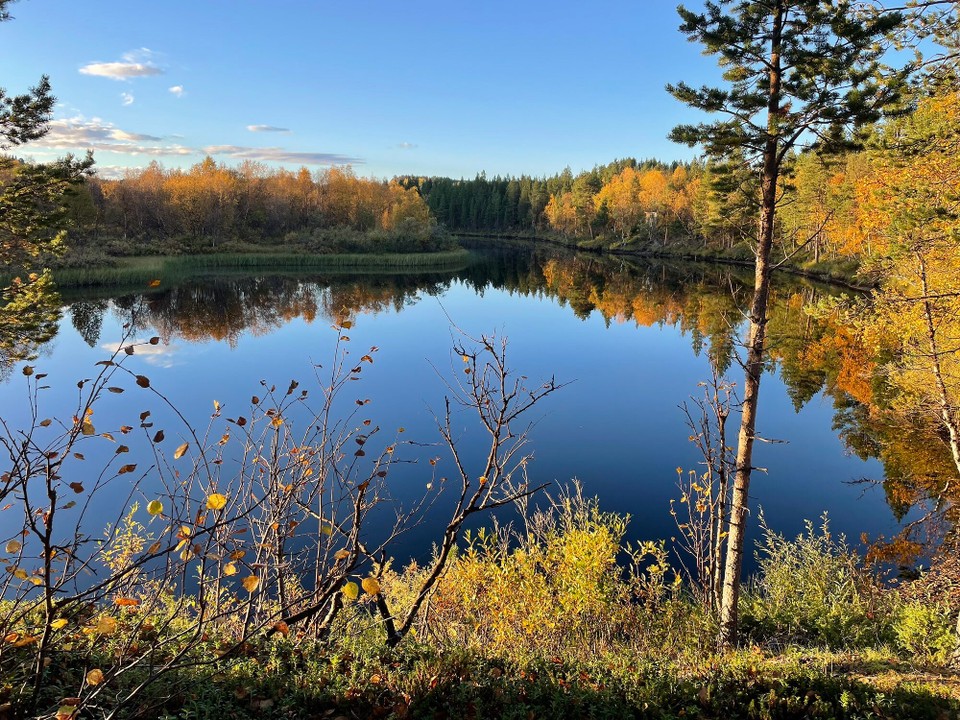 Norwegen - Skoganvarre - Und abends das schöne Herbstwetter genießen 