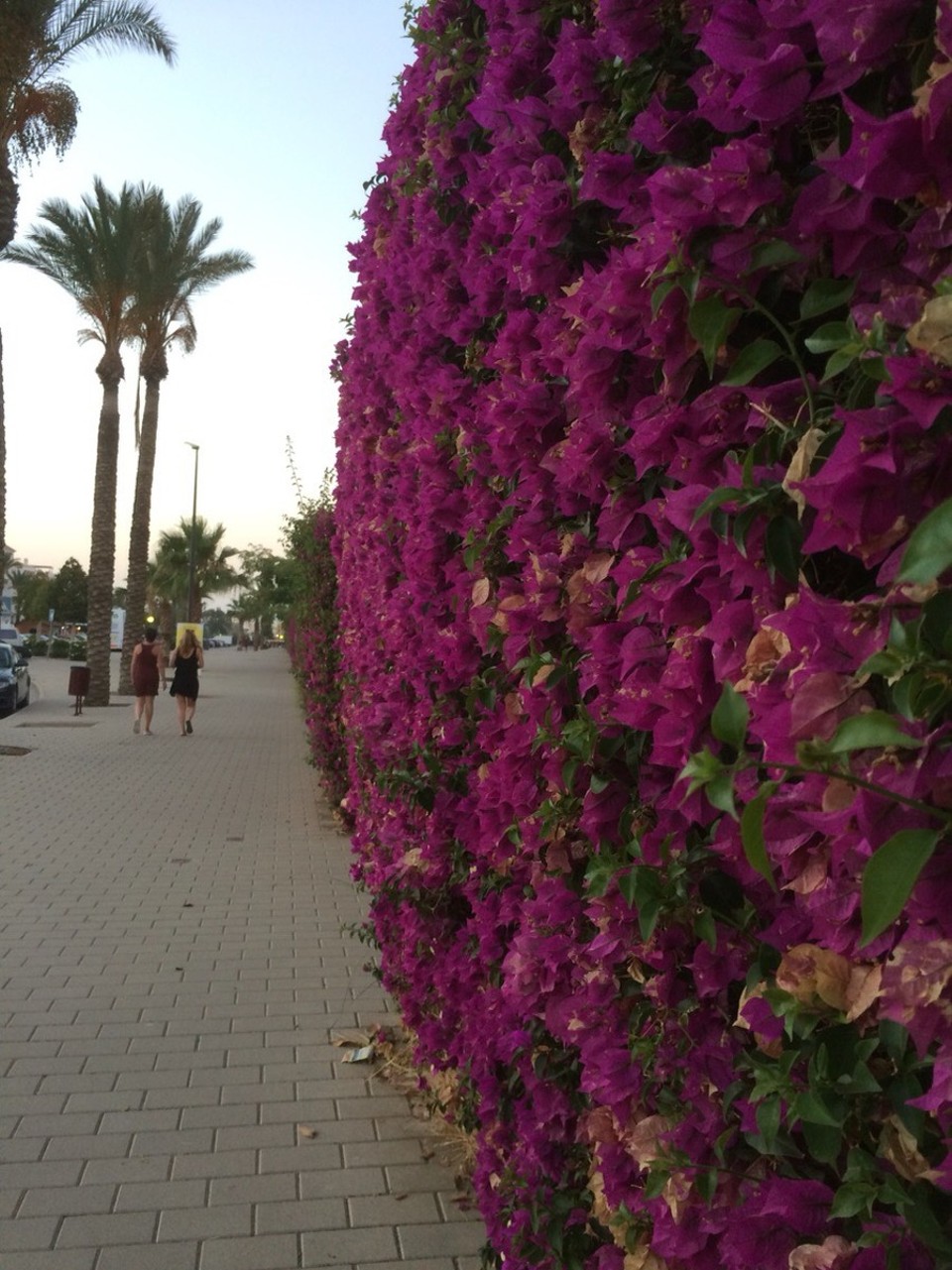 Spain - Vera - 
