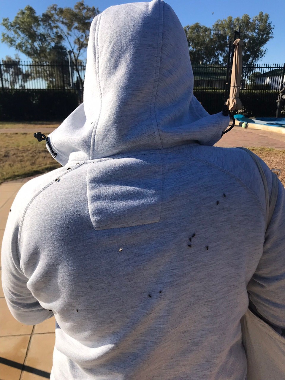 Australia - Ilfracombe - Cray cray fkn crazeee flies !