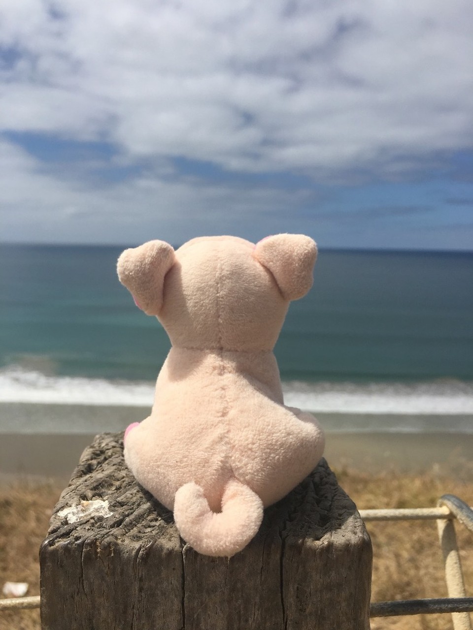 Australien - Apollo Bay - Ocean Road Faszination