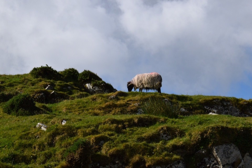 Irland - Clifden - 