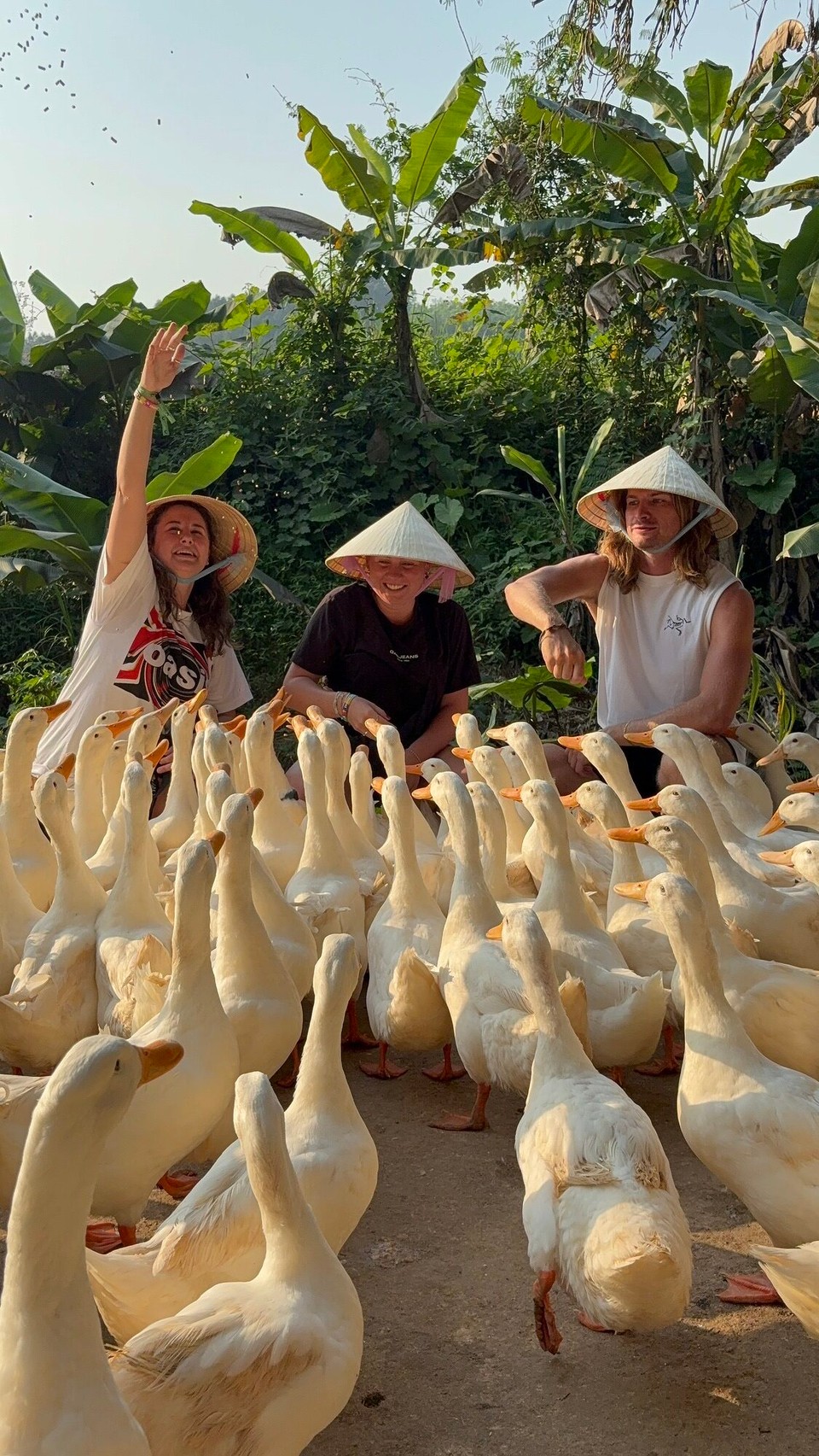 Vietnam - Bo Trach - 