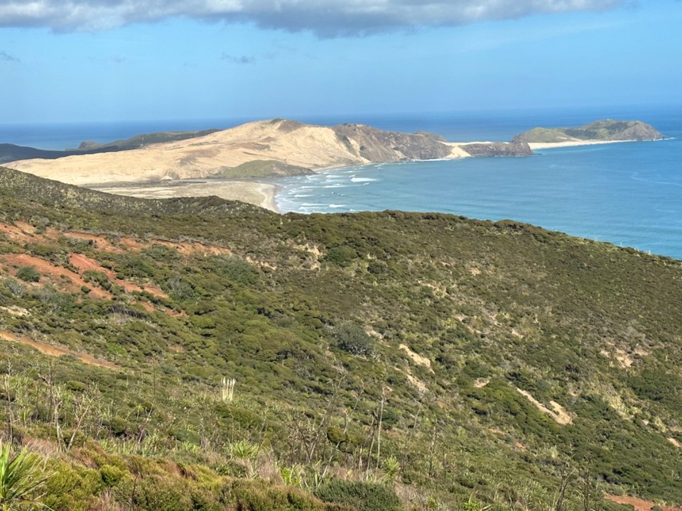 Neuseeland - Cape Reinga - Cape Maria van Diemem