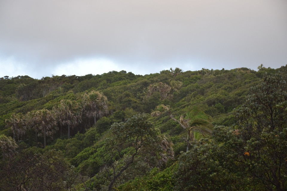 Australien - Port Macquarie - 