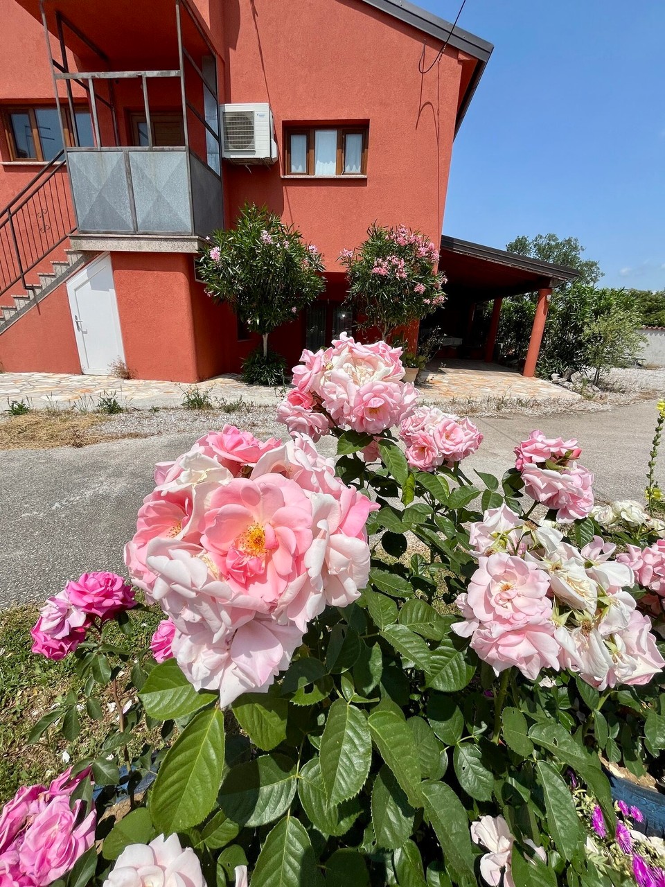 Kroatien - Motovun - 