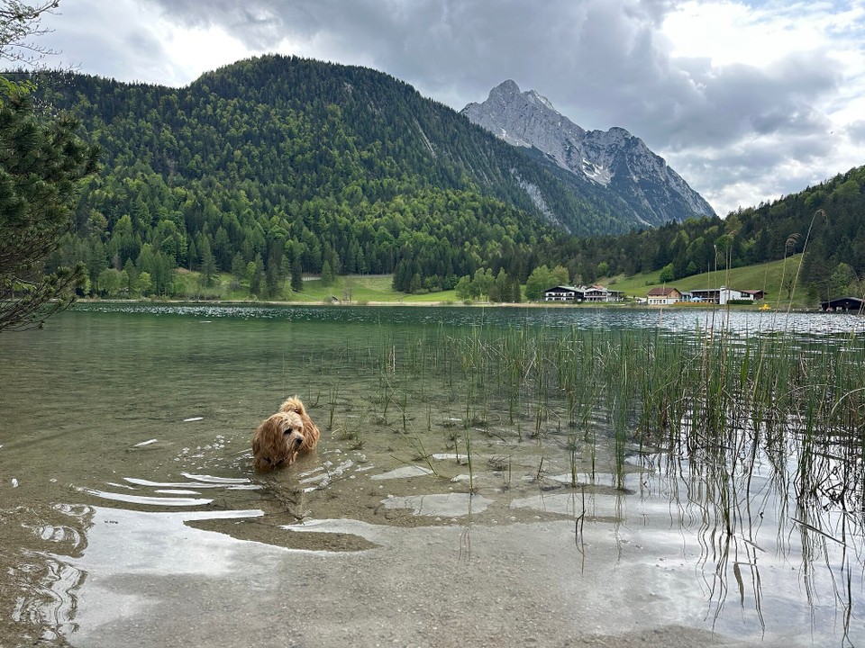 Deutschland - Mittenwald - 