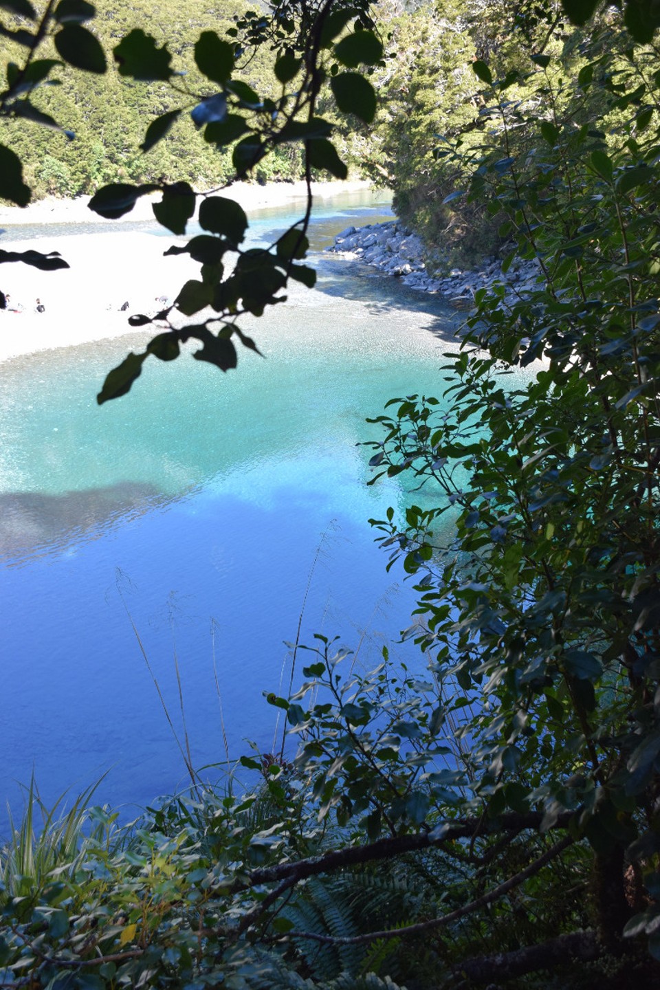 Neuseeland - Lake Matheson - Blue Pools