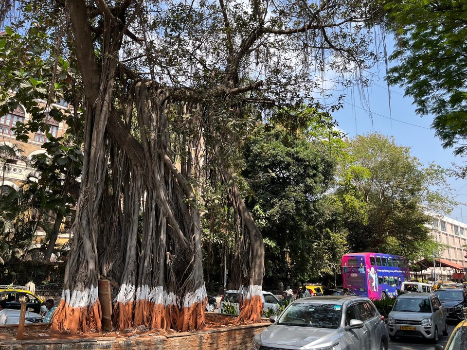 Indien - Mumbai - Colaba