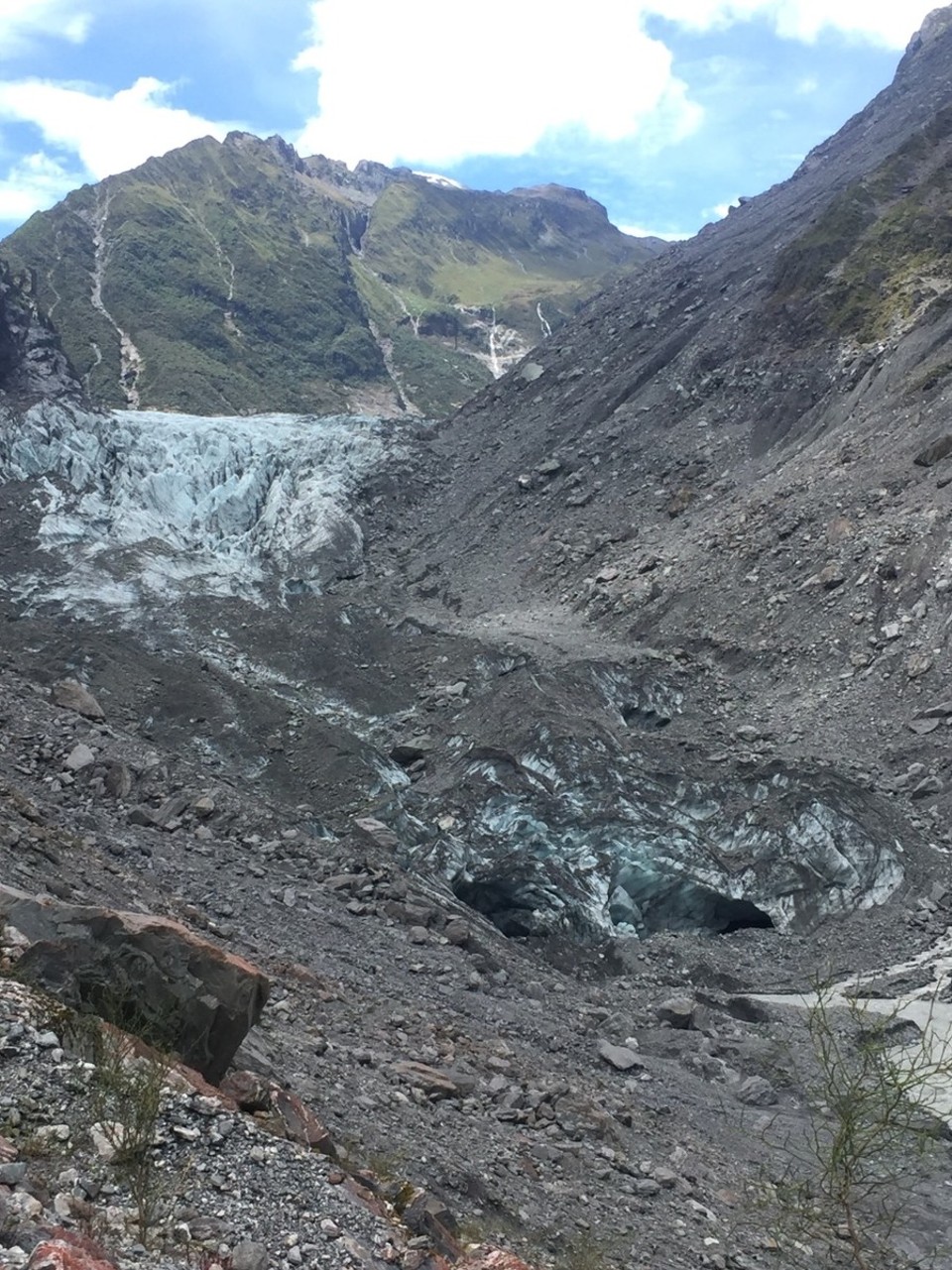 Neuseeland - Fox Glacier - 