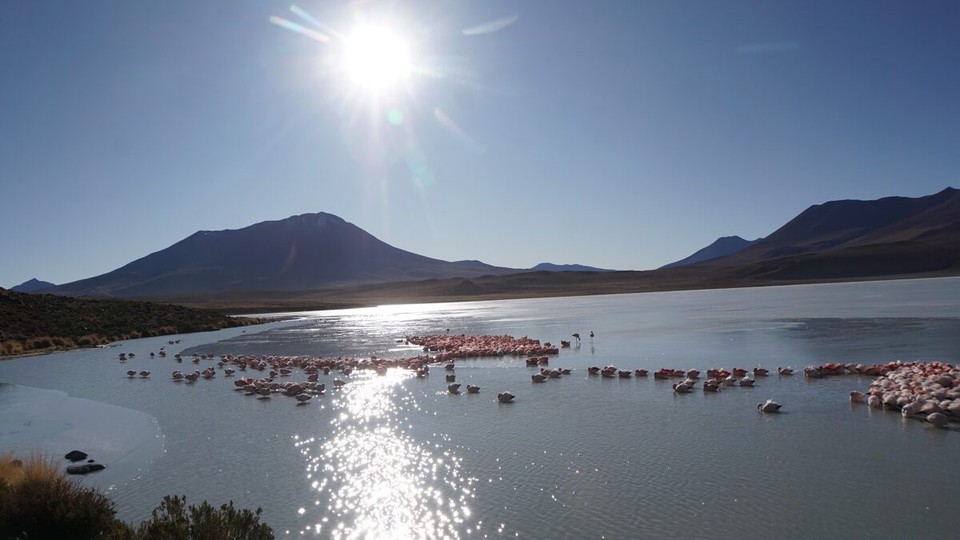 Chile - San Pedro de Atacama - 