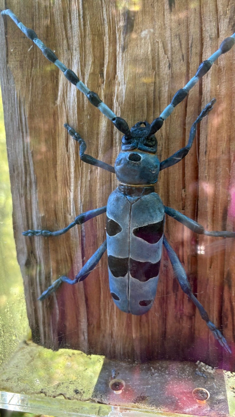 Slowenien - Šentilj v Slovenskih Goricah - 