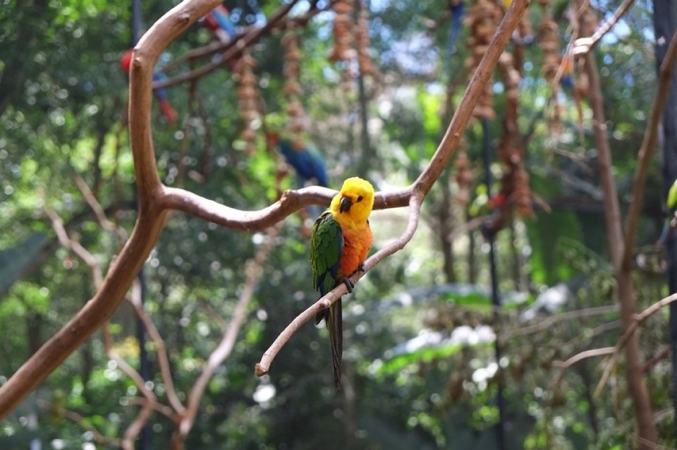 Brasilien - Foz do Iguaçu - 