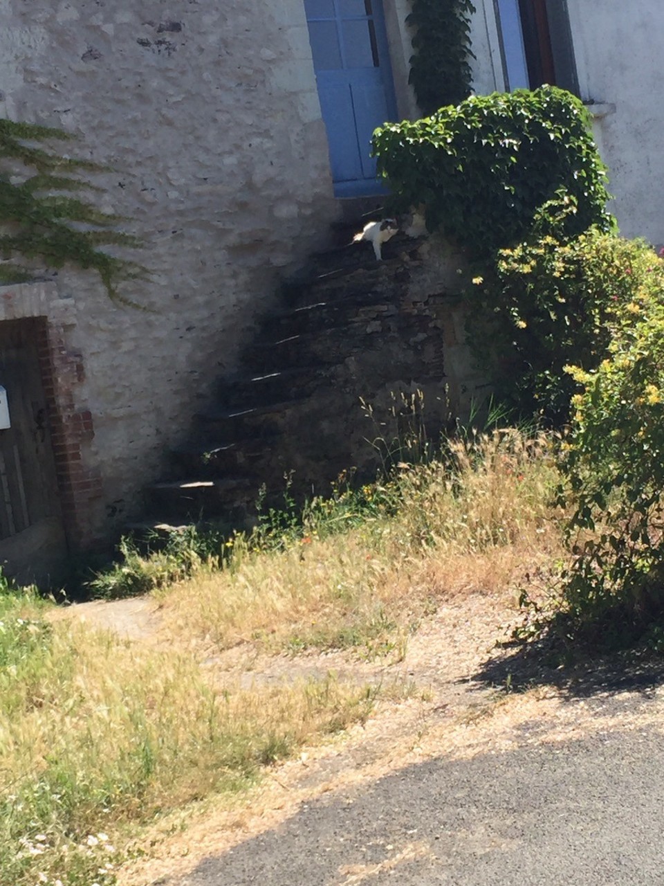 Frankreich - St.-Rémy-la-Varenne - 