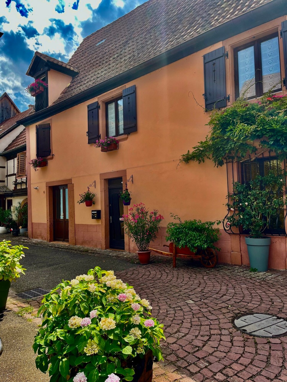 Frankreich - Ribeauville - 