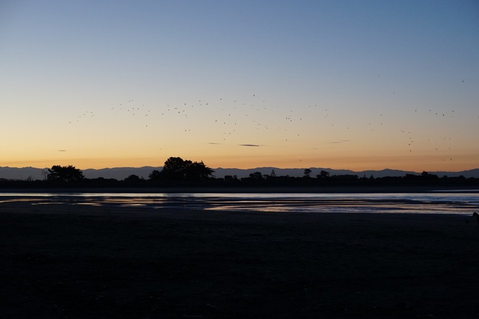 Neuseeland - Christchurch - 
